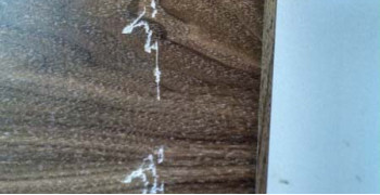 Thumbnail photo by Iowa of Bekins Van Lines