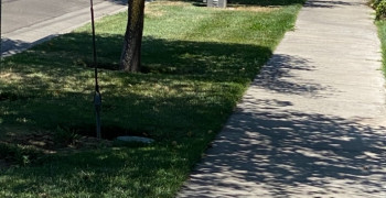 Thumbnail photo by Suzanne Meador Dixon of Sonic auto transport