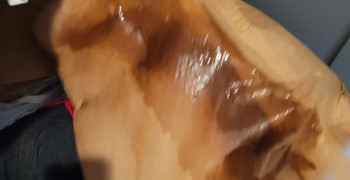 Thumbnail photo by Laura Hochwalt of Gold Standard Moving and Storage LLC