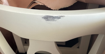 Thumbnail photo by Sarah Tolvtvar of Golden Gate Relocation LLC