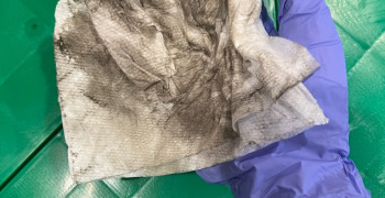 Second thumbnail photo by Ari Blake of Clutter Moving and Storage