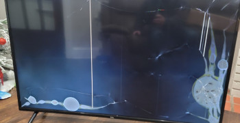 Thumbnail photo by Chevi Rader of Hercules Moving Solutions Inc