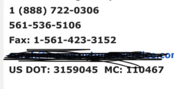 Thumbnail photo by Molly Horner of All Pro Moving Group LLC