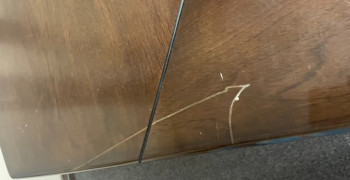 Second thumbnail photo by Maria Amexcua of Pro Smart Movers