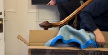 Thumbnail photo by Kelly Mcfarland of Roadway Moving