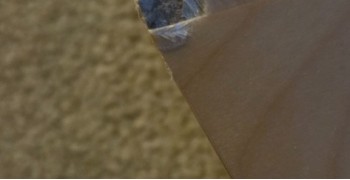 Second thumbnail photo by Jerry Zeng of Safe Travels Moving & Storage Corp