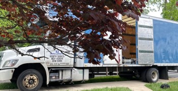 Thumbnail photo by Charyl Frederick of Safe Ship Moving Services