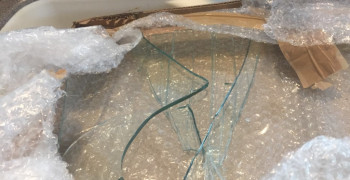 Thumbnail photo by Joseph Natoli of Bluebell Relocation Services