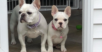 Thumbnail photo by Laura Havranek of Trinity Relocation Group