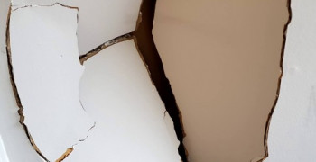 Second thumbnail photo by Diane Katz of International Van Lines