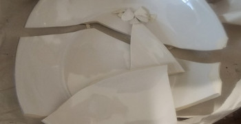 Thumbnail photo by Erin Karre of Moving Direct Van Lines LLC