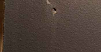 Thumbnail photo by Lisa Emmons of College Hunks Hauling Junk & Moving