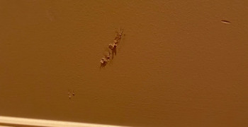 Thumbnail photo by Gretchen Shay of Nationwide Moving Services Inc