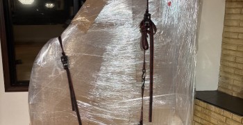 Thumbnail photo by Carolyn Recor of Safe Ship Moving Services