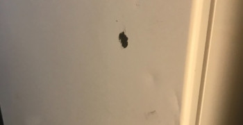 Second thumbnail photo by Blanka Thornton of S & M Relo LLC