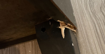 Thumbnail photo by Angela Spahr of Gold Standard Moving and Storage LLC