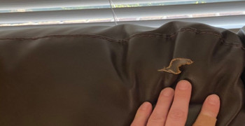 Thumbnail photo by Brendan Wooten of Geo Van Lines