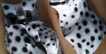 Thumbnail photo by Strider Agost of Allegiance Moving and Storage LLC