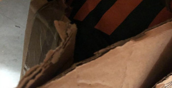 Thumbnail photo by Kelly Mccabe of CR7 Moving and Storage