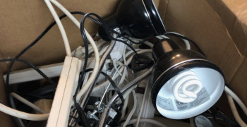 Thumbnail photo by Guillermo Romano of Golden Gate Relocation LLC