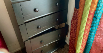 Thumbnail photo by Carol Chandler of Low Budget Movers