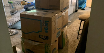 Thumbnail photo by Tommy Henderson Sr of Venture Van Lines LLC