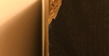 Thumbnail photo by Elizabeth of In and Out Moving & Storage, Inc.