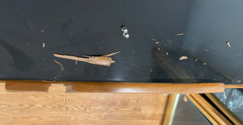 Second thumbnail photo by Jon Statsinger of 5 Diamond Moving and Storage Inc