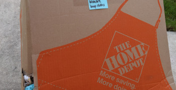 Thumbnail photo by Kristian Gonzalez of Cross Country Moving Group