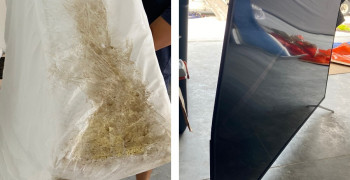 Thumbnail photo by Teri Gaub of Carefree Movers Inc