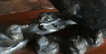 Second thumbnail photo by Tari Yates of Atlantic Van Lines