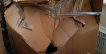 Second thumbnail photo by Nora of Coastal Moving Group