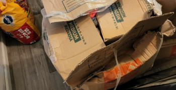 Thumbnail photo by Elese Weaver of New Leaf Moving Group