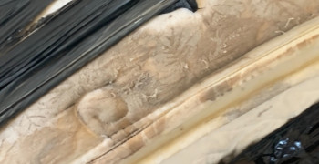 Thumbnail photo by Richard Herget of Purple Heart Moving Group