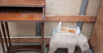 Thumbnail photo by Adelheid Esser of Buhlers Moving & Storage