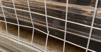 Second thumbnail photo by Mandi Cragoe of Zippy Shell Incorporated