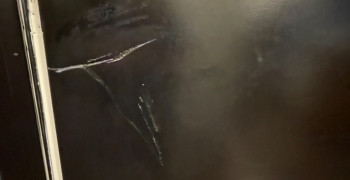 Thumbnail photo by Brenda Lee of Rigos Moving Company