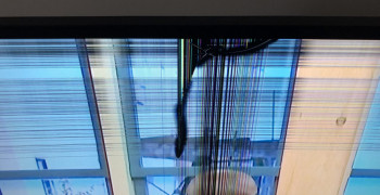 Thumbnail photo by Kristi Scalo of Tiger Movers Inc.