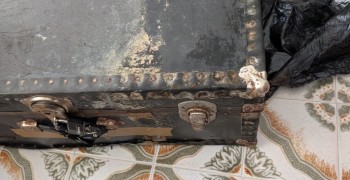 Thumbnail photo by Jonathan Fletcher of Terra Relocations