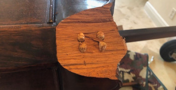 Thumbnail photo by Ryan Scammell of Safeway Moving Systems