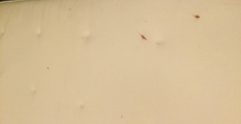 Thumbnail photo by Sina of Movinga