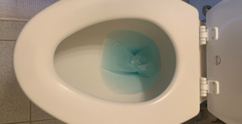 Thumbnail photo by David Brown of Gold Standard Moving and Storage LLC