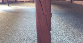 Second thumbnail photo by Regina Elizabeth of Shleppers Moving & Storage