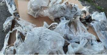 Thumbnail photo by Jeremy Goode of Guardian Van Lines LLC