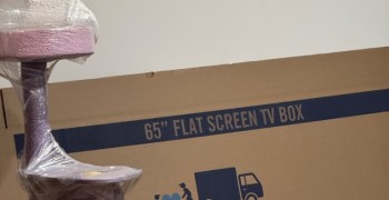 Thumbnail photo by Abby Bible of Roadway Moving