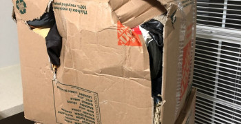 Thumbnail photo by Adriana Torres of PeaPack Moving and Storage