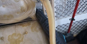 Thumbnail photo by Reginald Matthew Rainey of Clutter Moving and Storage