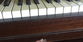 Second thumbnail photo by Andrea of Atlantic Van Lines