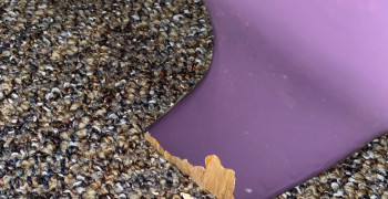 Thumbnail photo by Sean Obrien of American Home Relocation