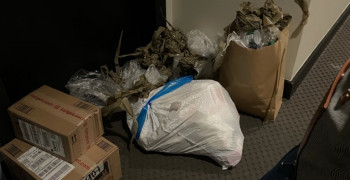 Second thumbnail photo by Fiona Caplan of Dumbo Moving and Storage